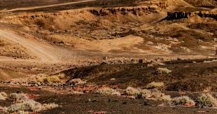 欧冠综合：阿森纳大捷 皇马小胜